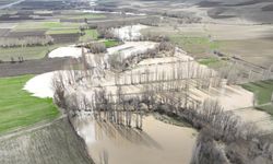 Son 20 yılın en yüksek miktarda yağışı görüldü, tarım arazileri sular altında kaldı