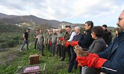 Tedavisi tamamlanan yırtıcı kuşlar özgürlüğe kanat çırptılar