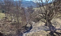 Tunceli'de heyelan tedbirleri: 19 konuttan 7'si boşaltıldı