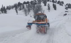 Tunceli'de karla mücadele çalışmaları aralıksız sürüyor