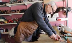 Yemeni bitme tehlikesiyle karşı karşıya