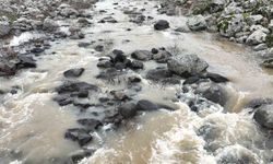 Yoğun yağışlar çiftçinin yüzünü güldürdü