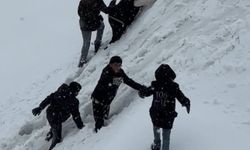 Yüksekova'da tepsiler kızak oldu, karlı yamaçlar oyun alanına dönüştü