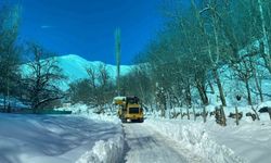 Batman Sason’da Yoğun Kar: Besiciler Zor Günler Yaşıyor