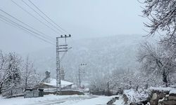 Adana'da yaylalarda kar etkili oldu