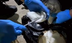 Ağrı'da 8,3 kilo metamfetamin ele geçirildi