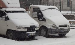 Ahlat'ta mart karı sürprizi: 11 köy yolu ulaşıma kapandı