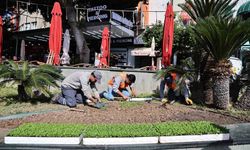 Antalya'da bahar hazırlığı: 4 milyon çiçek toprakla buluşuyor