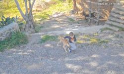 Antalya'da sahipsiz köpeğin saldırısına uğrayan 7 yaşındaki çocuk hastanelik oldu