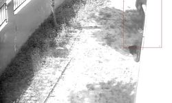 Apartman dairesine tırmanıp girdi, dizüstü bilgisayar çaldı