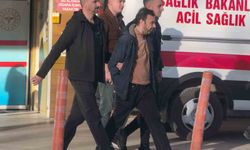 Araç faresi yakayı ele verdi