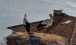Beklenen buluşma gerçekleşti