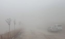 Besni'de sağanak yağış ve yoğun sis etkili oldu