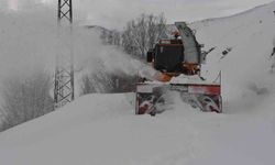 Bitlis'te 6,5 metrelik kar yağışına rağmen 20 bin kilometre yol açıldı