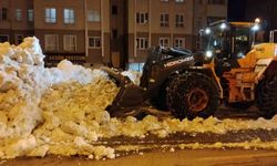 Bitlis'te kaldırımlardaki karlar kamyonlarla taşınıyor