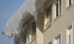 Bitlis'te soğuk hava etkisini sürdürüyor