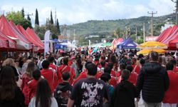 Bodrum'da Acı Ot Festivali'ne insan seli