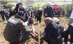 Burdur'da zeytin ve fıstıkçamı fidanları toprakla buluştu