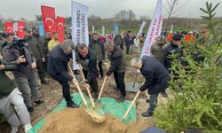 Bursa'da 2 yıl önce yanan 80 hektarlık alan ağaçlandırıldı