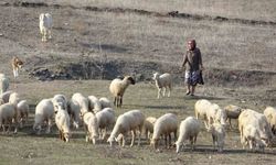 Bursa'da boğazından bıçaklanarak öldürülen kadının eski görüntüleri ortaya çıktı