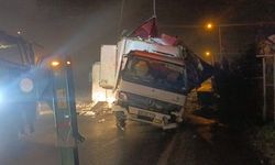 Büyükçekmece'de 8 ton hamsi taşıyan kamyon takla attı: O anlar kamerada