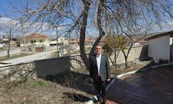 Büyükincirli köyünde incirin yalnızca adı kaldı