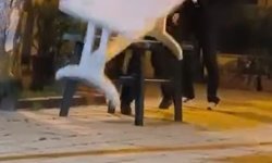 Cami bahçesindeki masalara zarar veren çocuklar kamerada