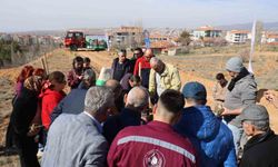 Çanakkale şehitleri için 438 fidan toprakla buluştu