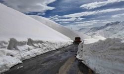 Çığ düşen yolu açma çalışmaları başlatıldı