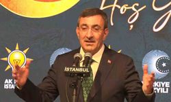Cumhurbaşkanı Yardımcısı Yılmaz: 'Terörsüz Türkiye'de yeni bir aşamaya girdiğimizi söyleyebiliriz'