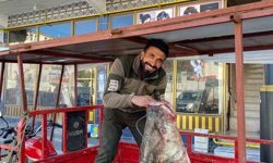 Çüngüş'te 100 kiloluk turna balığı yakalandı