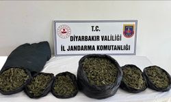 Diyarbakır'da 129 kilo uyuşturucu ve hap ele geçirildi: 21 şüpheliye yasal işlem