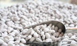 Elazığ'ın 'Beyaz altını' badem şekeri