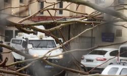 Eşini öldürüp, kuzenini ağır yaralayan şahıs tutuklandı