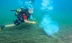 Garanti BBVA ve TURMEPA, deniz çayırlarının korunmasına yönelik çalışmalarını kamuoyuyla paylaştı