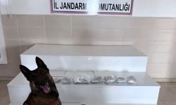 İçişleri Bakanlığı: 'Van ve Hakkari'de 320 kilogram uyuşturucu madde ele geçirildi'