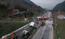 İki tır çarpıştı, D-650 savaş alanına döndü