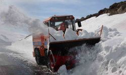 Kar ve tipi nedeniyle 4 aydır ulaşıma kapanan yol açılıyor