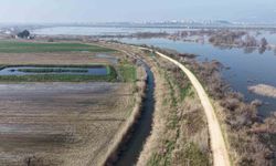 Karacabey çiftçisi yeni sezon ekimleri için suların çekilmesini bekliyor