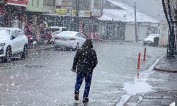 Karlıova'da kar etkili oldu