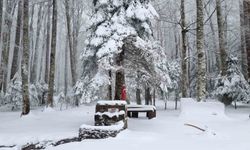 Kazdağları beyaz örtüsüne büründü