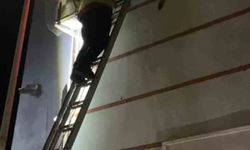 Klima motoruna sıkışan yavru kedi kurtarıldı