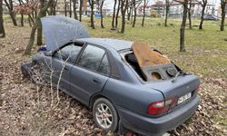 Kontrolden çıkan otomobil ağaçlık alana daldı: 1 yaralı