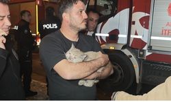 Korkutan yangında mahsur kalan kediyi itfaiye kurtardı
