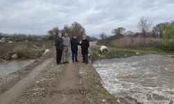 Kuruyan dere coştu, İznik Gölü'ne umut oldu