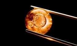 L'Oréal ve Nvidia geleceğin güzellik keşiflerini hızlandırıyor