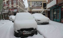 Malazgirt'te bahar beklenirken kar yağdı, araçlar kara gömüldü
