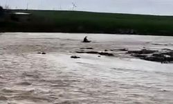 Mardin'de taşan derede sal keyfi