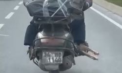 Motorcu ayağının altında et taşıdı
