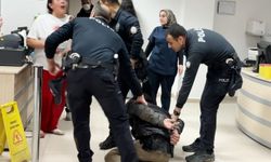 Oğul annesinin sevgilisini bıçakladı, anne ise polis memurunu tokatladı